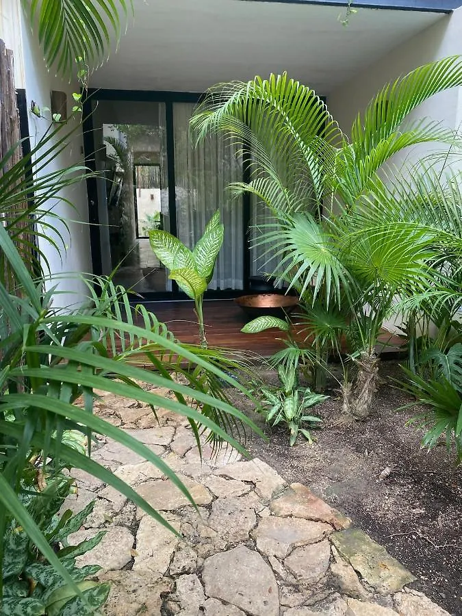 Jungle Bliss 2 Bedroon 2 Bathroom With Private Pool And Jungle Garden. Tulum Mexico